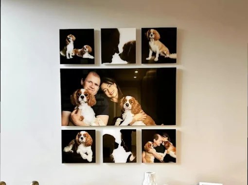 Grid of seven photo panels hung as a gallery wall above a sideboard
